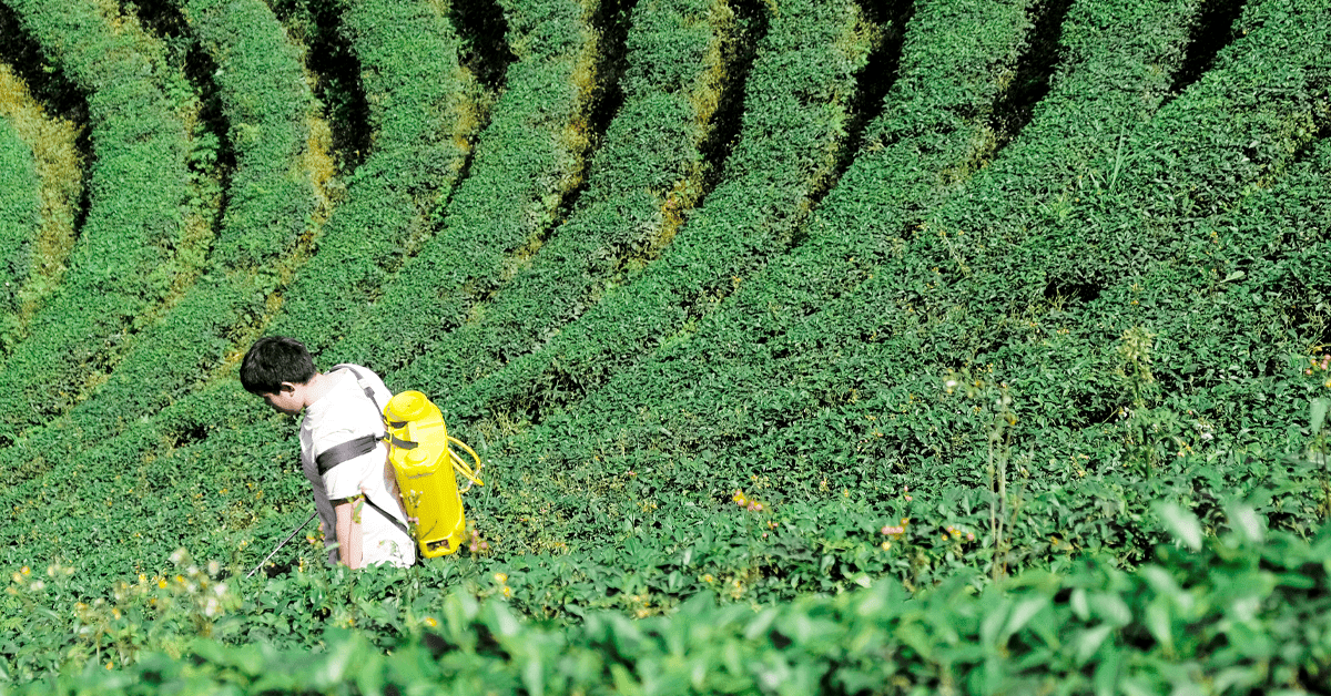 Agricultural Pest Control Essentials